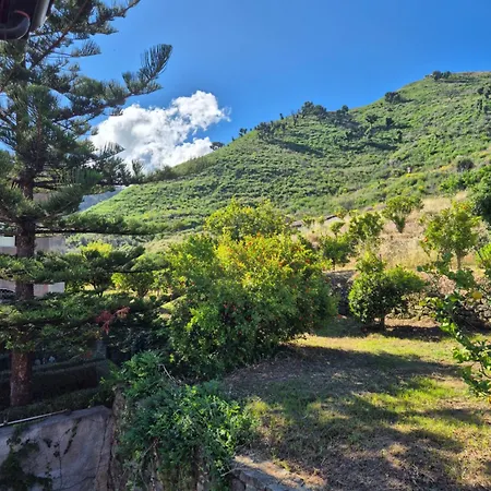 Rica Kır Evi Patti